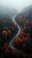 Stunning Aerial View of Winding Road Through Colorful Autumn Forest Wallpaper photo
