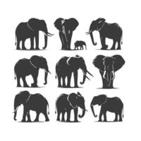 Set of Elegant Elephant Silhouettes for Design vector