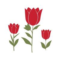 Elegant Red Tulip Illustration for Your Spring Decor Needs vector