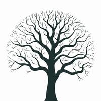 A black and white illustration of a tree with no leaves vector
