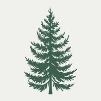 A green pine tree is shown on a white background vector