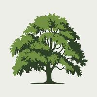 A tree with green leaves on a white background vector
