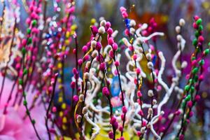 Colorful willow branches as decor for a spring or the easter day photo