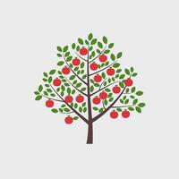 Apple tree illustration vector
