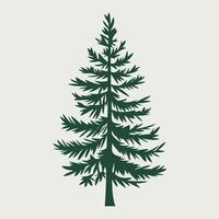 A pine tree is shown in a flat style vector
