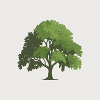 A tree with green leaves on a white background vector