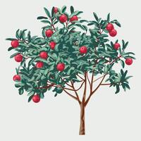 An illustration of a tree with red apples vector