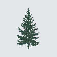 A pine tree is shown on a white background vector