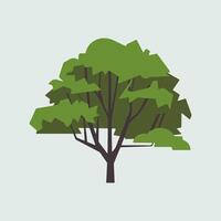 A tree with green leaves on a light background vector