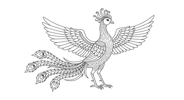 A bird with wings and feathers is shown in this coloring page