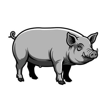A pig is standing in front of a white background vector