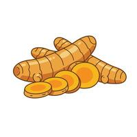 Tumeric root and slices of ginger on a white background vector