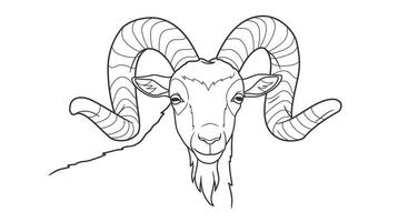 A goat with large horns is shown in this coloring page vector