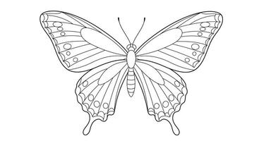 Coloring page featuring a butterfly with long trailing wings like a kite vector
