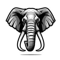 An elephant head with tusks on a white background vector