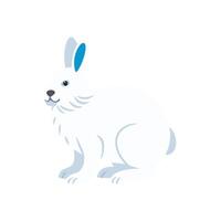 Elegant Arctic Hare for Wildlife Themes vector