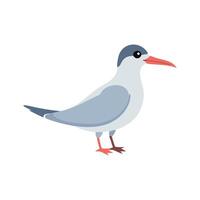 Stylish Arctic Tern Design for Nature Illustrations vector