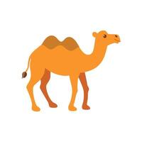 Elegant Camel Illustration for Desert Adventures vector