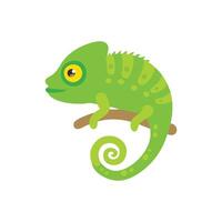 Artistic Chameleon Design for Nature Illustrations vector