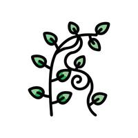Charming Climbing Vine for Gardening Projects vector