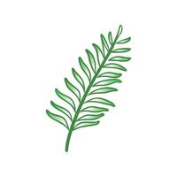 Elegant Fern for Nature Lovers vector