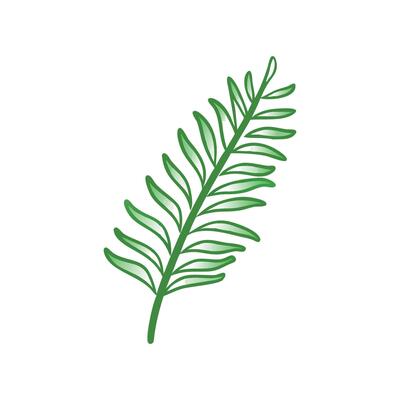 Elegant Fern for Nature Lovers