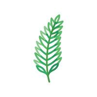 Vibrant Fern Artwork for EcoFriendly Designs vector