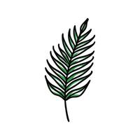 Elegant Fern Leaf for Nature Lovers vector