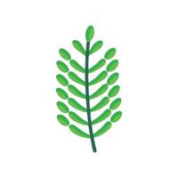 Artistic Fern Design for Nature Illustrations vector