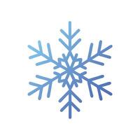 Intricate Frost Patterns on Glass vector