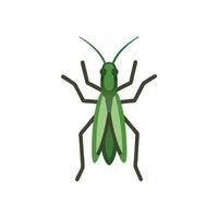 Detailed Grasshopper on Leaf vector