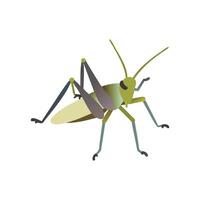 Stylish Grasshopper Art vector