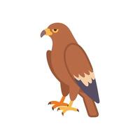 Graceful Hawk Perched on Branch vector