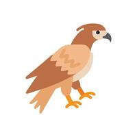 Elegant Hawk in Serene Environment vector