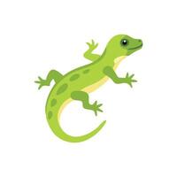 Vibrant Lizard Resting on a Stone vector