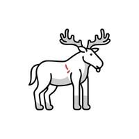 Charming Moose in Wilderness Setting vector