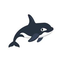 Graceful Orca in Marine Wonderland vector