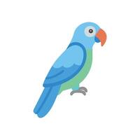 Unique Parrot Illustration for Wildlife Art vector