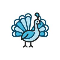 Breathtaking Peacock Displaying Feathers vector