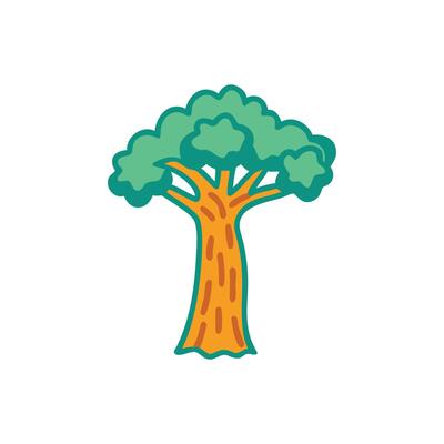 Majestic Rainforest Tree Canopy