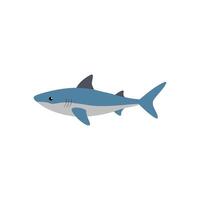 Majestic Reef Shark Swimming in Ocean vector
