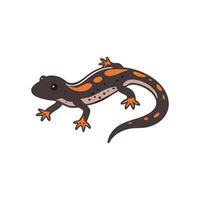 Charming Salamander in Natural Habitat vector