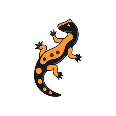 Unique Salamander Illustration for Wildlife Art