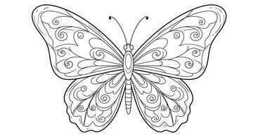 A Butterfly coloring pages for adults with spread wings vector