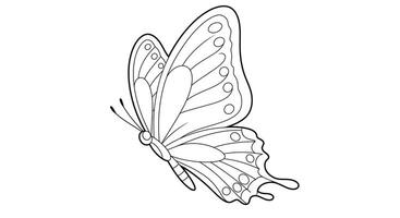 Coloring page of a butterfly with wings covered in distinct spots vector