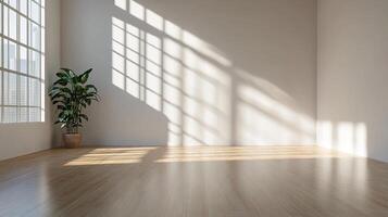 Bright room with plant and sunlight. Modern, minimalist interior design with an emphasis on light and shadow. Wood floors and clean, neutral walls. photo