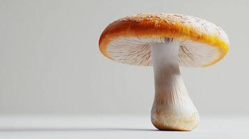 The image showcases a striking mushroom with a vibrant orange cap and a smooth white stem, emphasizing the beauty of nature in fine detail and textures. photo