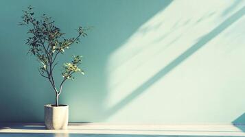 A minimalist setting featuring a potted plant against a serene teal wall, casting soft shadows and creating a peaceful ambiance, ideal for modern design projects. photo