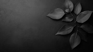 An artistic composition featuring delicate black leaves arranged on a dark textured background, evoking a sense of sophistication and understated elegance. photo
