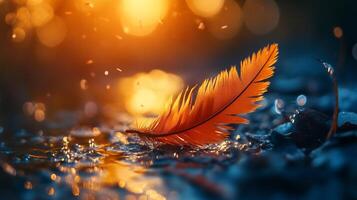 A striking image of a vibrant orange feather gliding on a tranquil water surface, symbolizing freedom and grace within a serene natural setting. photo